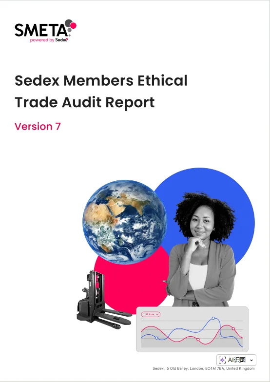 Hongzhao SMETA Version 7 audit documentation SMETA Version 7 Sedex Members Ethical Trade Audit report cover for Hongzhao supplier review; report reference available on request